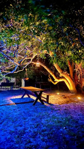Camping Venturi
